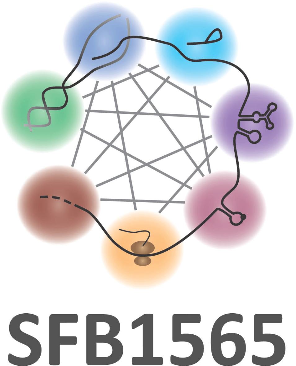 Logo SFB 1565