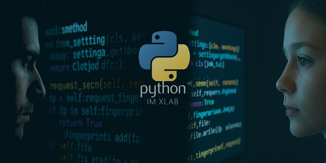 Symbolbild Python im XLAB