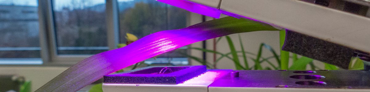 Photosynthese-Messung im Labor