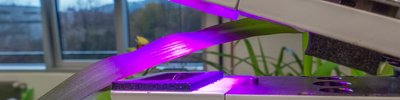 Photosynthese-Messung im Labor