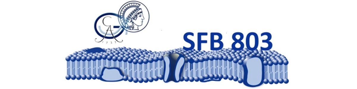 Logo des SFB 803