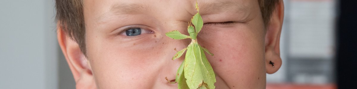 Kind mit Heuschrecke