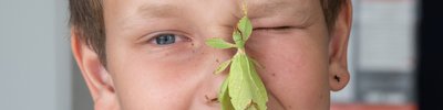 Kind mit Heuschrecke