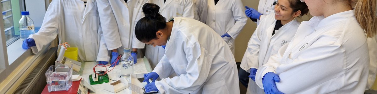 Studierende im Labor