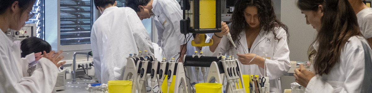 Participants in the laboratory